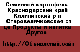 Семенной картофель - Краснодарский край, Калининский р-н, Старовеличковская ст-ца Продукты и напитки » Другое   